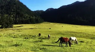 Mugu Nepal : Geography, Attractions and Lifestyle